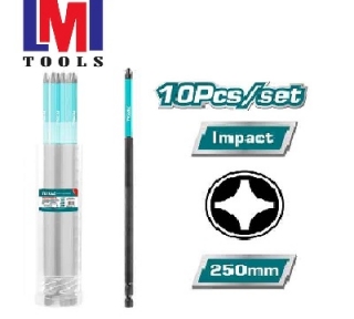Bộ 10 mũi bắt vít PH2x250mm Total TACIM16PH2103